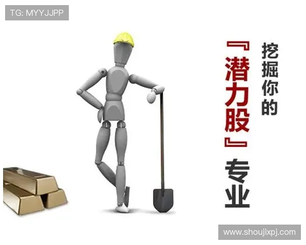 新葡的京：未来澳门博彩市场的竞争格局与创新驱动的战略思考