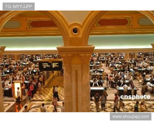 澳门新葡京威尼斯人娱乐设施全景介绍带你领略最丰富多彩的休闲娱乐体验 澳门新葡京威尼斯人娱乐设施全景介绍带你领略最丰富多彩的休闲娱乐体验