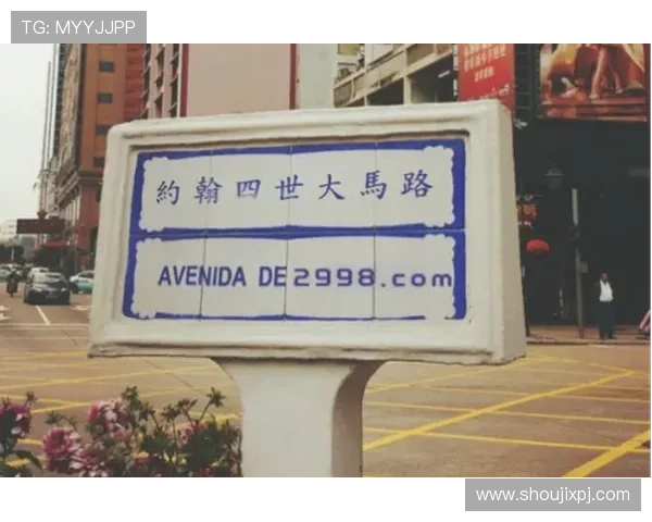 澳门新葡京pg用户评价汇总真实玩家体验分享与建议