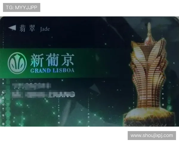 澳门新葡京官方网站安全支付方式介绍确保您的资金安全与交易顺畅