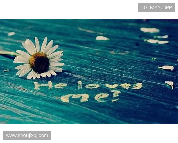 凯发k8官方网娱乐官方网页详细解析最新优惠活动与注册流程指南 凯发k8官方网娱乐官方网页详细解析最新优惠活动与注册流程指南