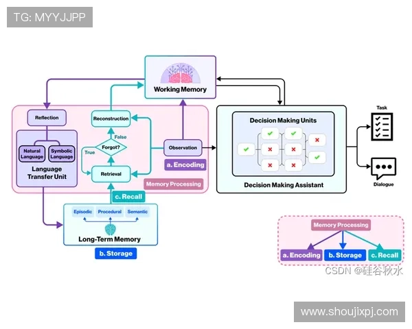 新甫京网站登录线路稳定性提升方案详解确保玩家全天候顺畅游戏体验的实用建议 新甫京网站登录线路稳定性提升方案详解确保玩家全天候顺畅游戏体验的实用建议