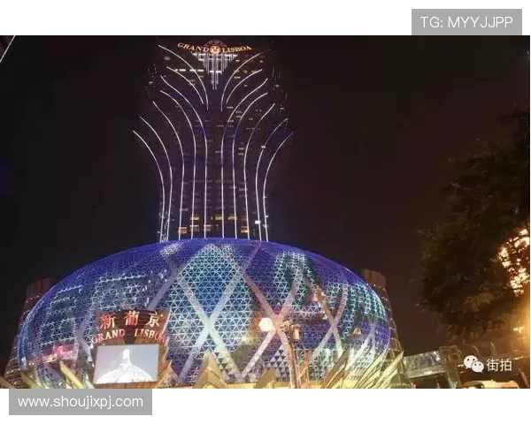 新葡京手机官方地址2026年最新版本，提供最便捷的登录方式和优质的游戏服务