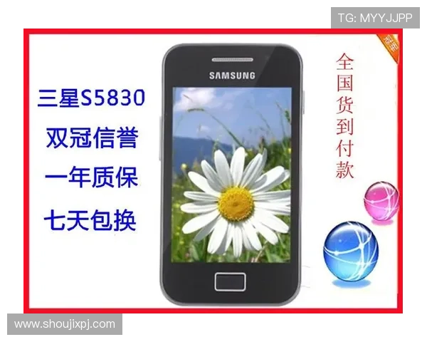 永乐高官方入口最新登录指南与安全保障全面解析