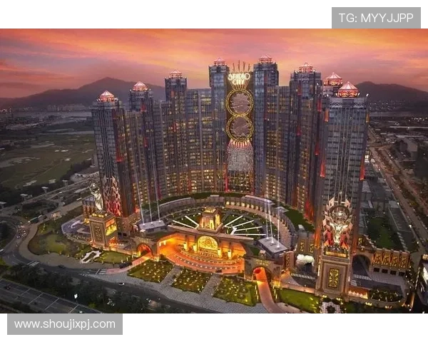 澳门新濠博亚娱乐有限公司在推动澳门旅游经济发展中的重要作用与合作策略